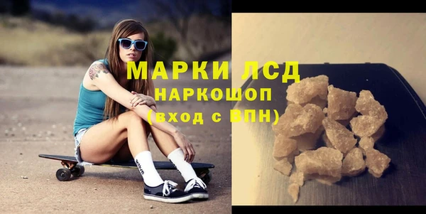 прущие грибы Бронницы