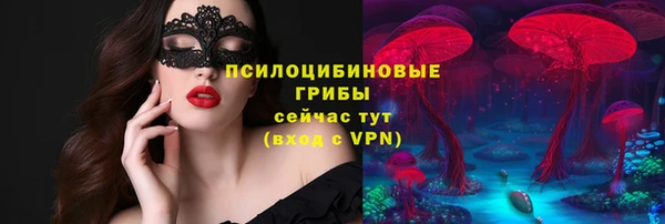 МДПВ Богородицк