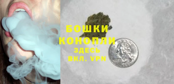 шишки Бугульма
