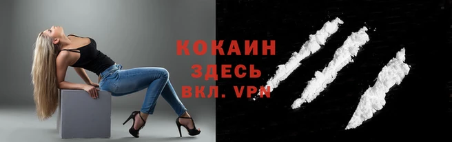 прущие грибы Бронницы