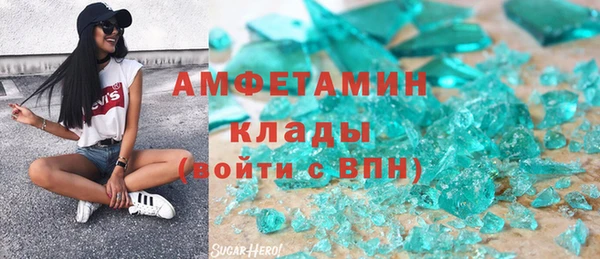 гидра Богородск