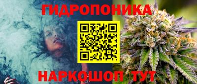 дживик Бийск