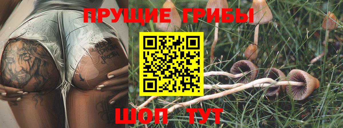 Псилоцибиновые грибы Magic Shrooms Вичуга