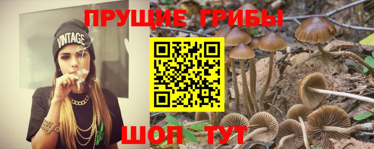 Галлюциногенные грибы GOLDEN TEACHER  даркнет сайт  Вичуга  Вход с VPN  Псилоцибиновые грибы Cubensis 
