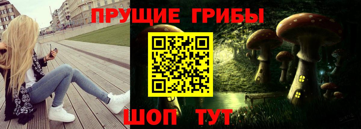 Псилоцибиновые грибы MAGIC MUSHROOMS Вичуга