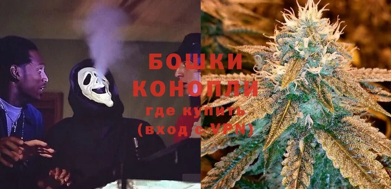 Бошки Шишки THC 21%  Вичуга 